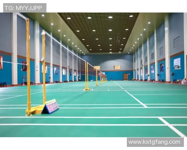 上海羽毛球队运营模式创新探索助力体育发展新篇章