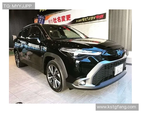 杭州排球队在洲际杯积分榜中以62分稳居第一名展现强劲实力 杭州排球队在洲际杯积分榜中以62分稳居第一名展现强劲实力