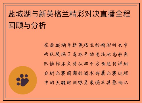 盐城湖与新英格兰精彩对决直播全程回顾与分析